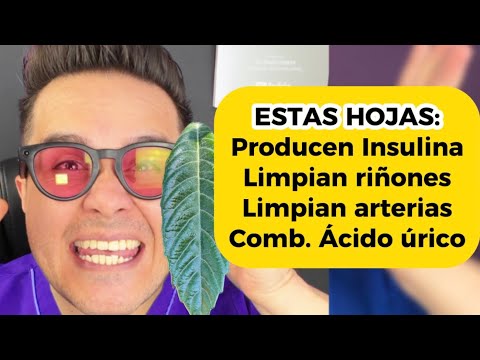 Bruno Roman