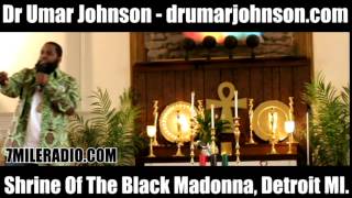 Dr Umar Johnson - Shrine of the black Madonna Pt2