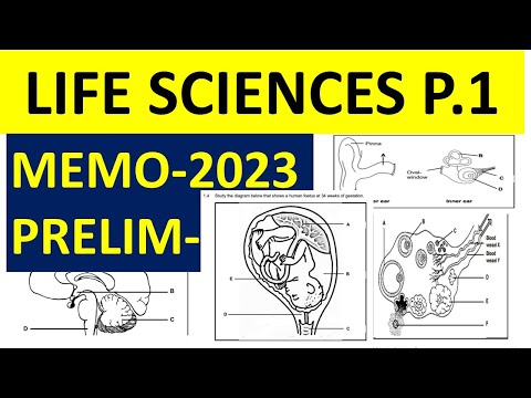 P.1 2023 MEMO LIFE SCIENCES GRADE 12 PRELIM EXAMS  EXAMS P.1 MEMO 2023  [THUNDEREDUC] BY