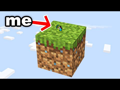 Minecraft, But It's Only 1 GIANT Block...