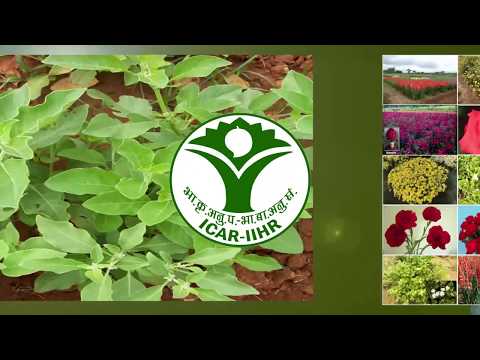 National Horticultural Fair 2018 (Kannada)