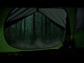 Night in a tent with heavy rain and thunder