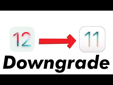 How to Downgrade from iOS 12 to iOS 11.4.1 (Not Working)