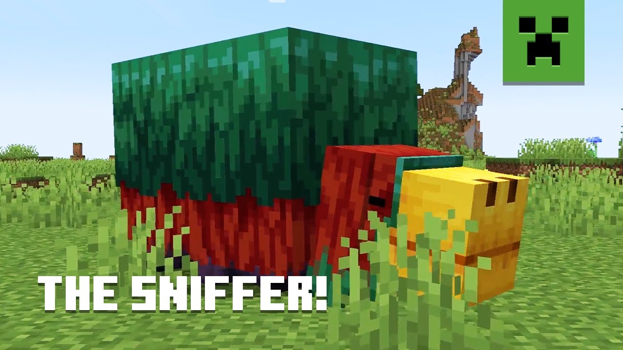 Miniature vidéo