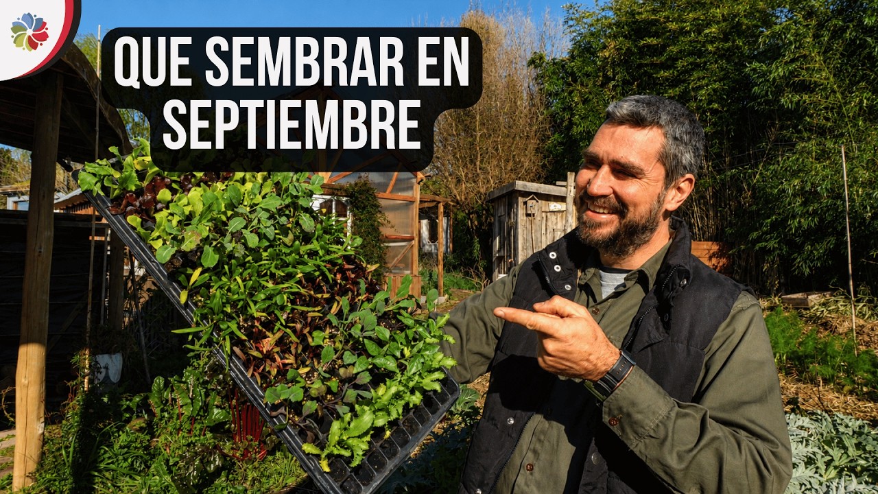 🌱 Qué SEMBRAR en SEPTIEMBRE ⚠️ CUIDADO con el NIÑO