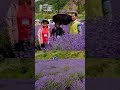 Bizna Kenya 8 Video thumbnail