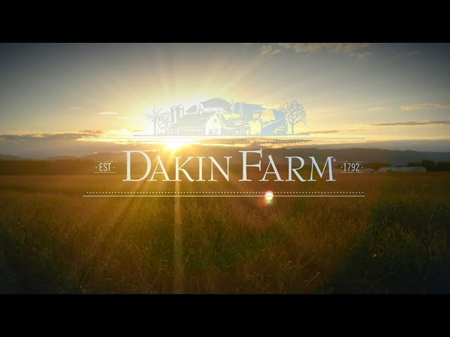 英語のDakinのビデオ発音