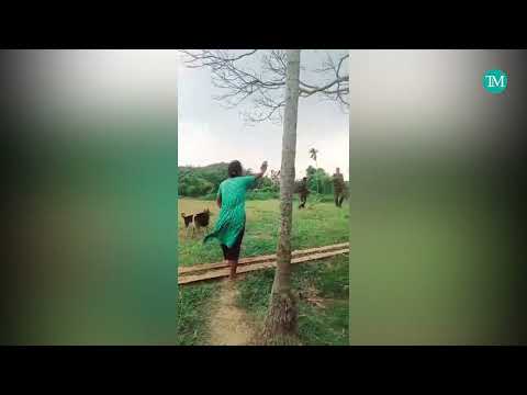 Giving chase to criminals, Bangladesh border guards trespass into Indian territory in Garo Hills