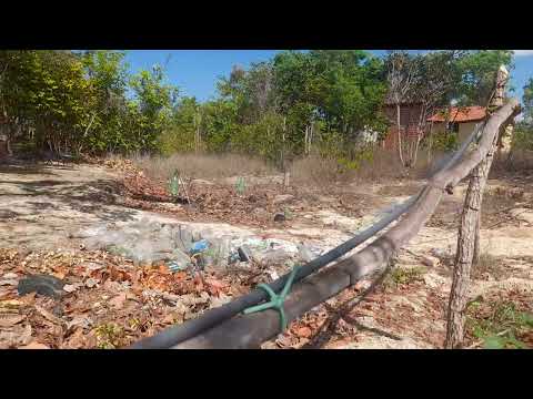 👍🇧🇷💟 olá amigos  brasileiros de capitão de Campos Piauí abraços ❤️ assista vídeo é legal 😎 