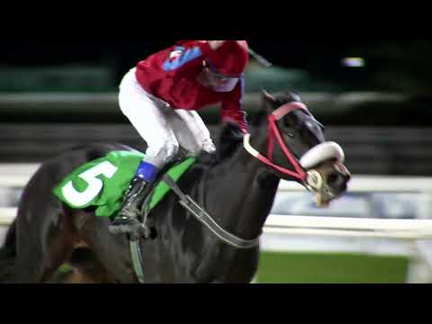 220515 c13  QUE PANDERETA