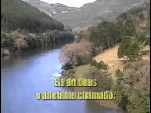 As Searas Maduras, Hinario Adventista Nº  331