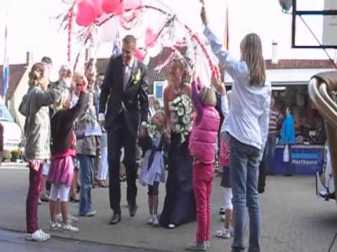 Stormvogels met bogen.wmv