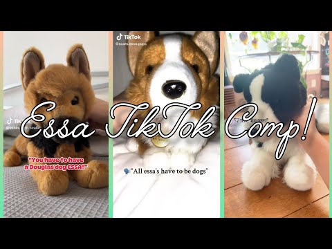 Essa TikTok Comp | none are mine | credits to original owners
