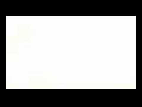 CTS kamikaze otariano