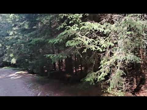 Transalpina  - Obarsia Lotrului