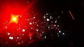 The Coral &#39;Simon Diamond&#39;