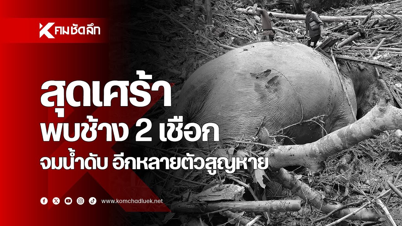 สุดเศร้า พบช้าง 2 เชือกจมน้ำดับ อีกหลายตัวสูญหาย