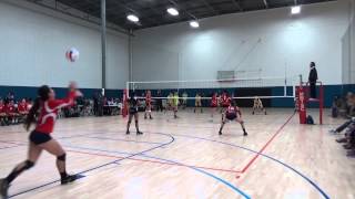 Tayler Jaramillo Volleyball 2014-2015; Class of 2016