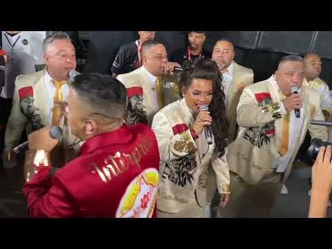 OFFICIAL PARADE - SPECIAL - START - TOM MAIOR - CARNIVAL 2026