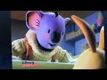 Watching The Koala Brothers