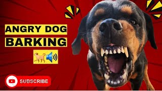 Sounds That Make Dogs Tilt Their Head ( GUARANTEED) Dog barking Compilation 🤔