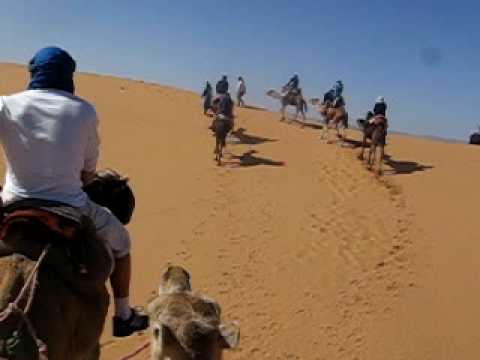 Jízda na velbloudech