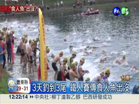 台東普悠瑪鐵人賽 傳食人魚出沒