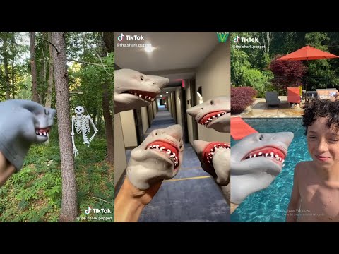New Shark Puppet TikTok Videos 2020 | Funny The Shark Puppet TikTok Videos 2020