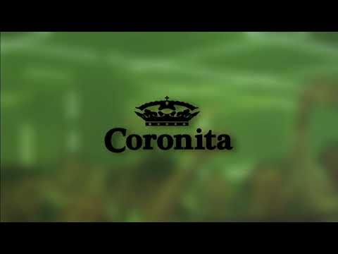 KARÁCSONYI KARANTÉNOS CORONITA MIX 2020 12 06