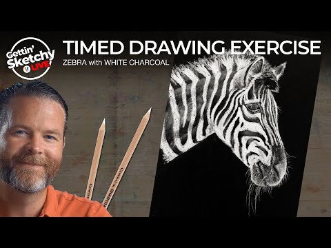 Gettin' Sketchy LIVE - Zebra with White Charcoal