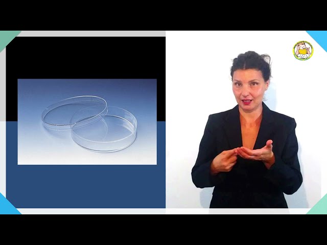 Vídeo relacionado con SyiXute Platos Petri De 65+55+34 mm Con Tapa,30 Piezas Placa De Petri De Plástico,Placas De Petri De Bacterias para Laboratorios,Biología,Microbiología Equipadas Con 10 Pipetas De Plástico De 3 ml