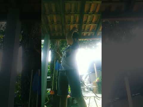 vou botar pra machucar