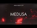 Medusa Megi, Ari02 & Levi