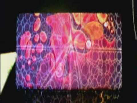 Trance Festivel 2006 Acid Lsd Astrix Infected Raja Dino Goa Astral Skazi Gms Space Hux Flux Vibe.wmv