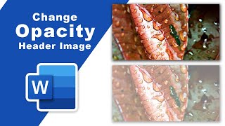 How to change opacity of header image in Microsoft word