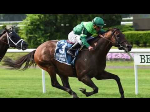 Belmont Derby Profile: Demarchelier