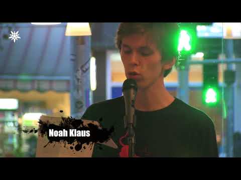 Edelweißpiratenfestival 2017 | Lesung mit Henrike Klehr, Aylin Celik, Noah Klaus & Georg Zimmermann