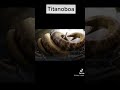 Animals That Scientists Trying To Bring Back NOT A GOOD IDEA Short Epicvideo