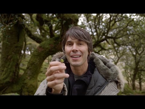 What are living things made of? - Forces of Nature with Brian Cox: Episode 3 - BBC One