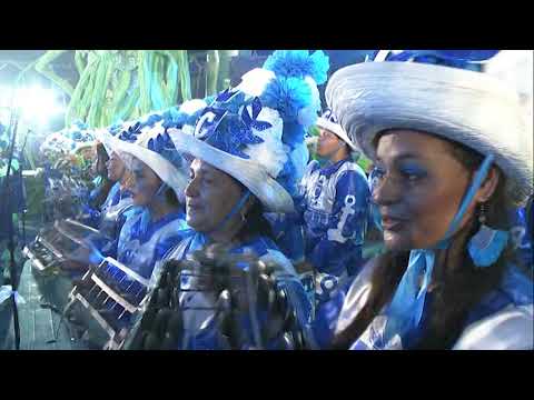 Caprichoso 2015 - Toada Bicho Folharal