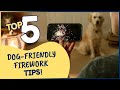 Top Tips To Keep Your Dog Calm Safe During Fireworks