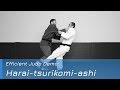 Harai-tsurikomi-ashi - Demo