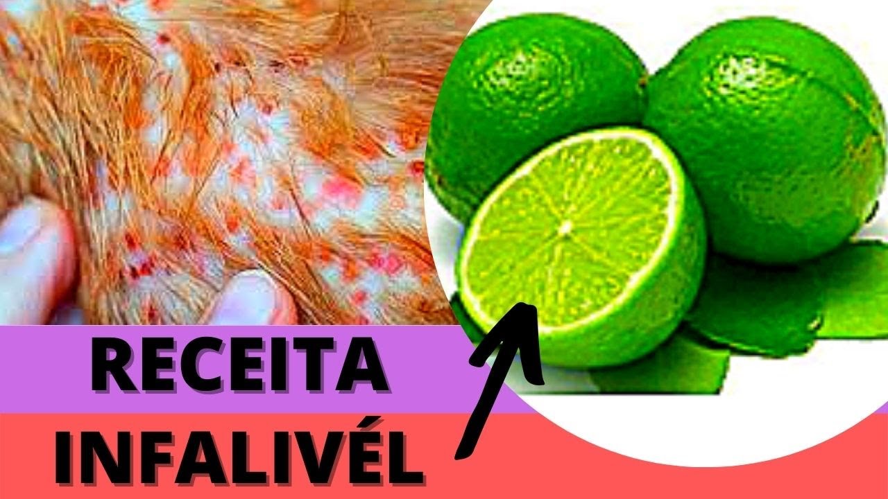 [SOLUÇÃO] CACHORRO COÇANDO DEMAIS COM FERIDAS DE PELE e Queda de Pelos