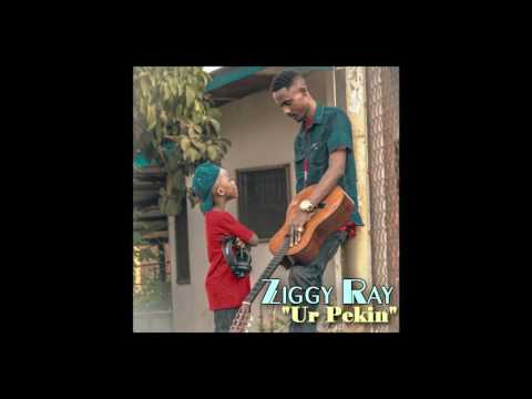 ZIGGY RAY PLEDGE FOR HELP UR PEKIN
