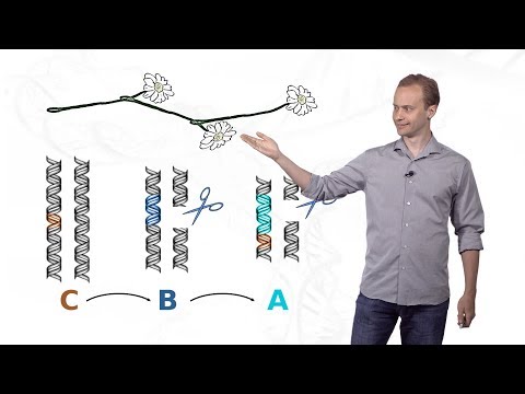 Kevin Esvelt (MIT) 2: Gene Drive and Local Drive