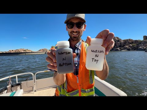 Watson Lake water quality monitoring