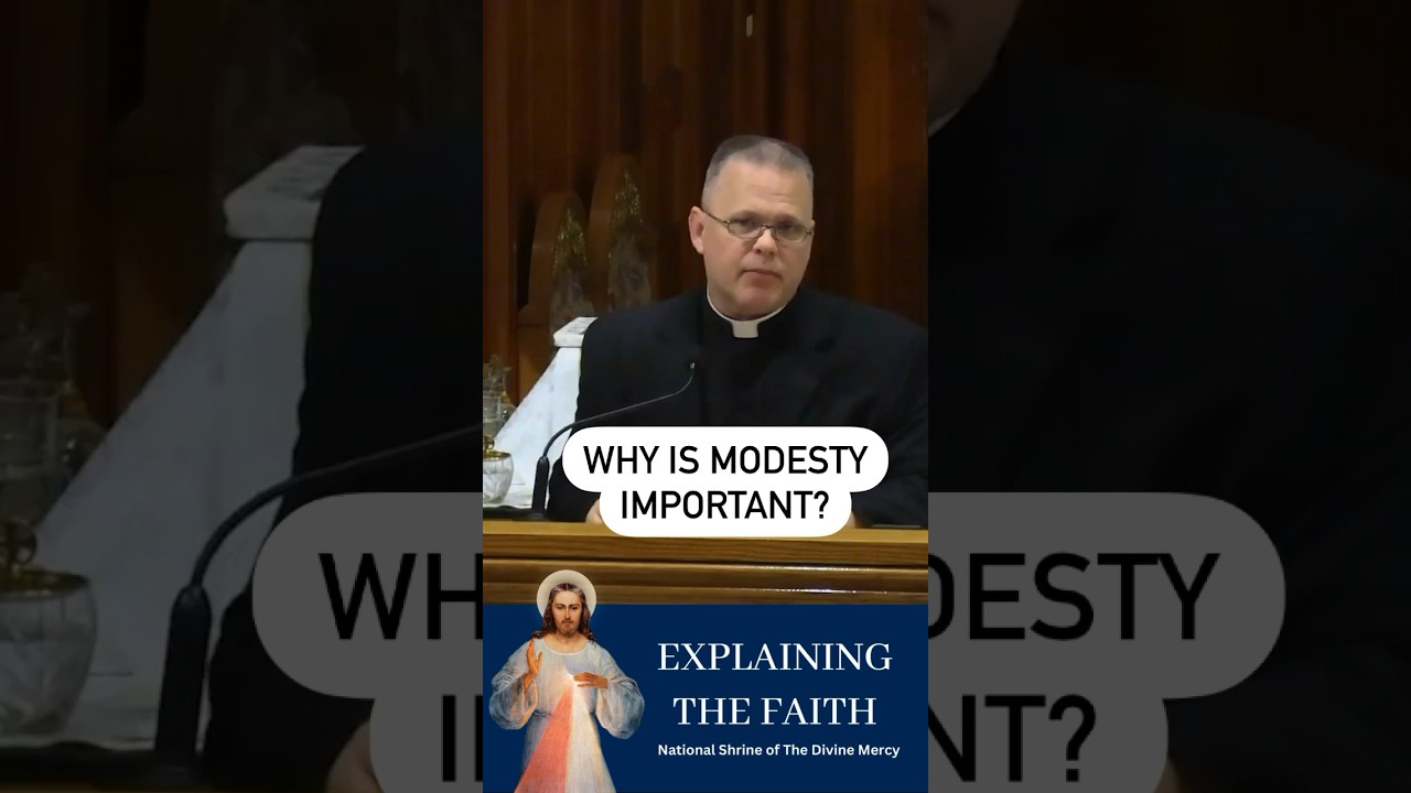 Why is modesty so important? #frchrisalar  #catholic #explainingthefaith #religion #christian
