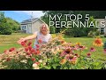 My Top 5 Longest Blooming Perennials for Sun and a BONUS! Perrenials