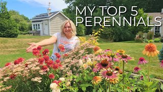 My Top 5 Longest Blooming Perennials for Sun and a BONUS! Perrenials