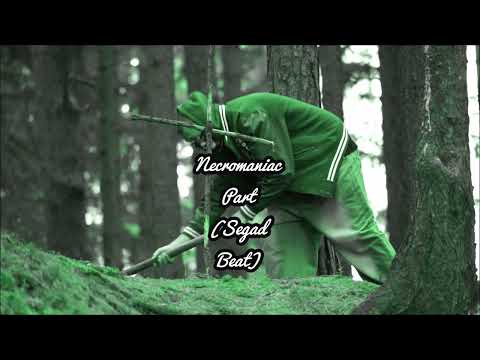 Placzebo PlaeKxZ Necromaniac Part (Segad Beat)
